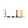 Majesty Force S  Ultrafiolett - Bilde 7